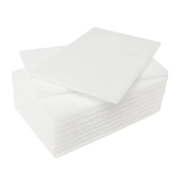 Edco Thin White Scrub Pad