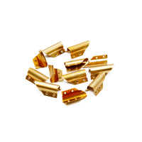 Ettore Brass Clip