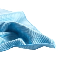 Microfibre Fishscale Cloth