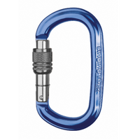 Singing Rock Alloy Screw Gate Carabiner - Ozone Blue